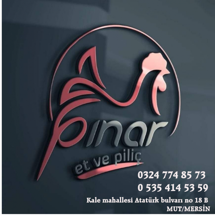 PINAR ET VE PİLİÇ ŞARKÜTERİ