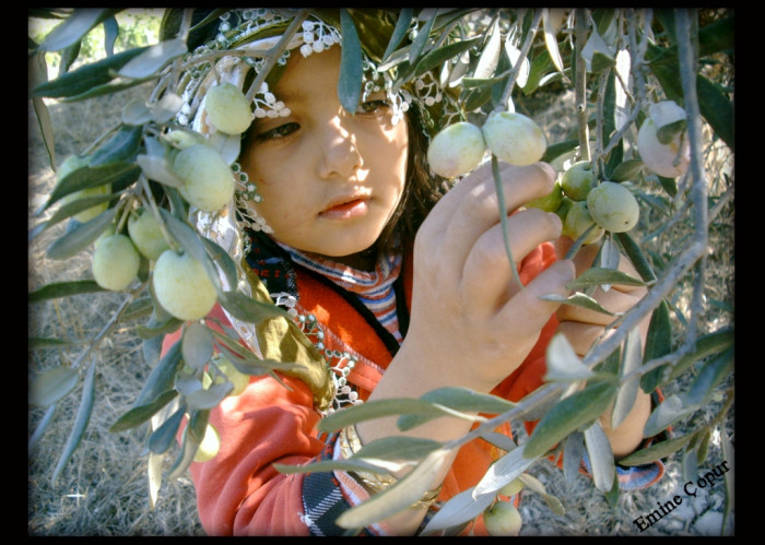 Mut Her Haliyle Güzel