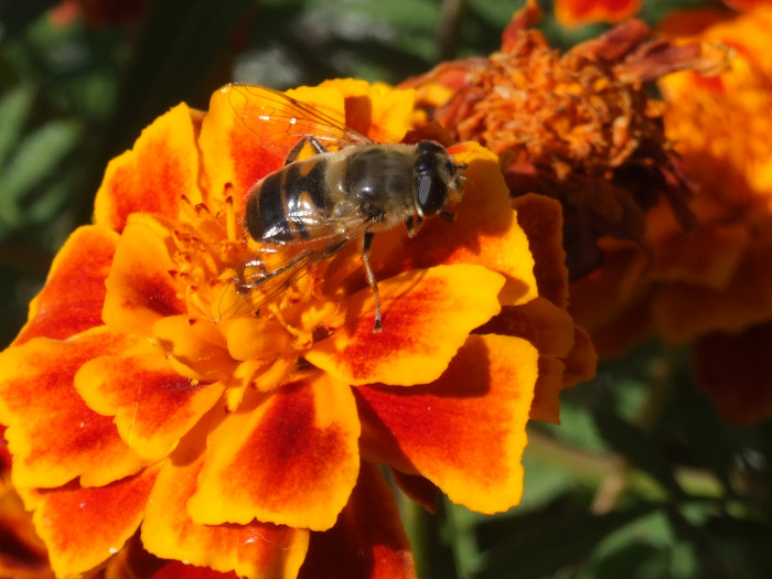 Mut Her Haliyle Güzel