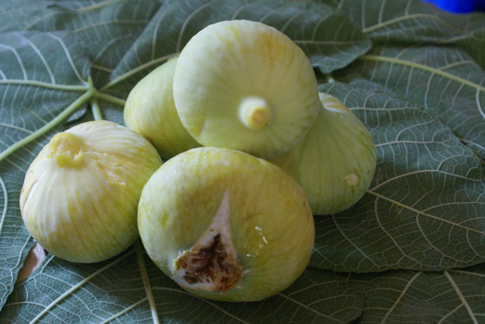 Mut Her Haliyle Güzel