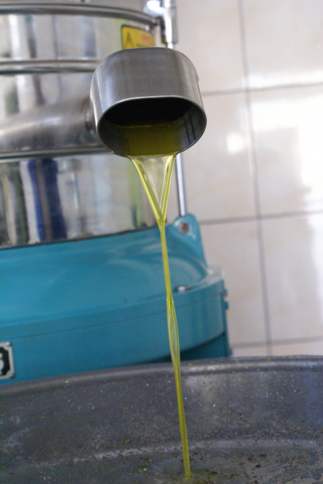 Mut Her Haliyle Güzel