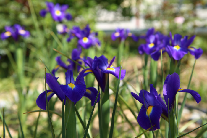 Mut Her Haliyle Güzel