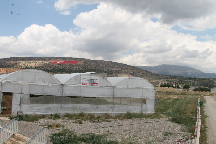 Mut Her Haliyle Güzel