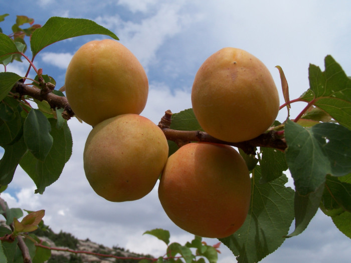 Mut Her Haliyle Güzel
