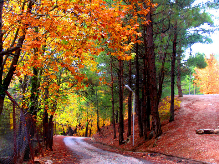 Mut Her Haliyle Güzel
