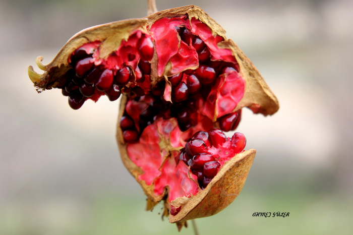 Mut Her Haliyle Güzel