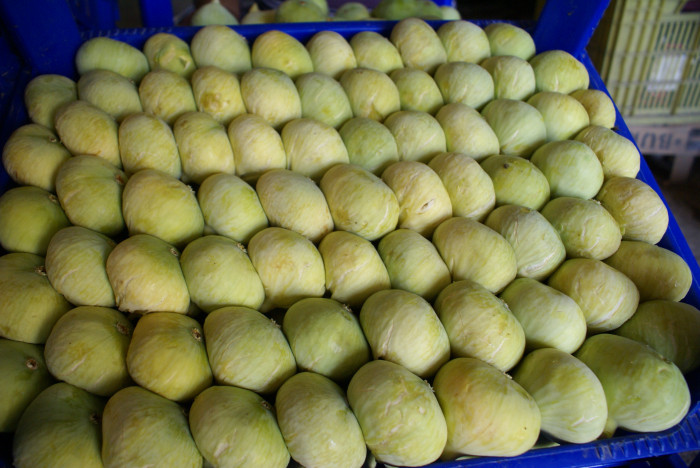 Mut Her Haliyle Güzel