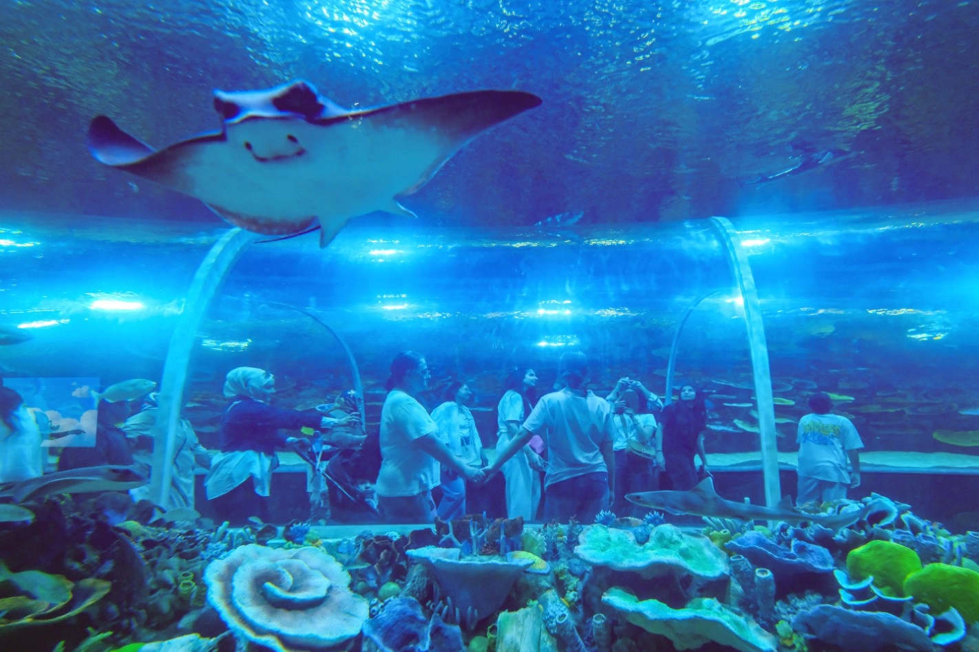 Kocaeli'de K&ouml;rfez Aqua 7&rsquo;den 70&rsquo;e herkesi b&uuml;y&uuml;ledi