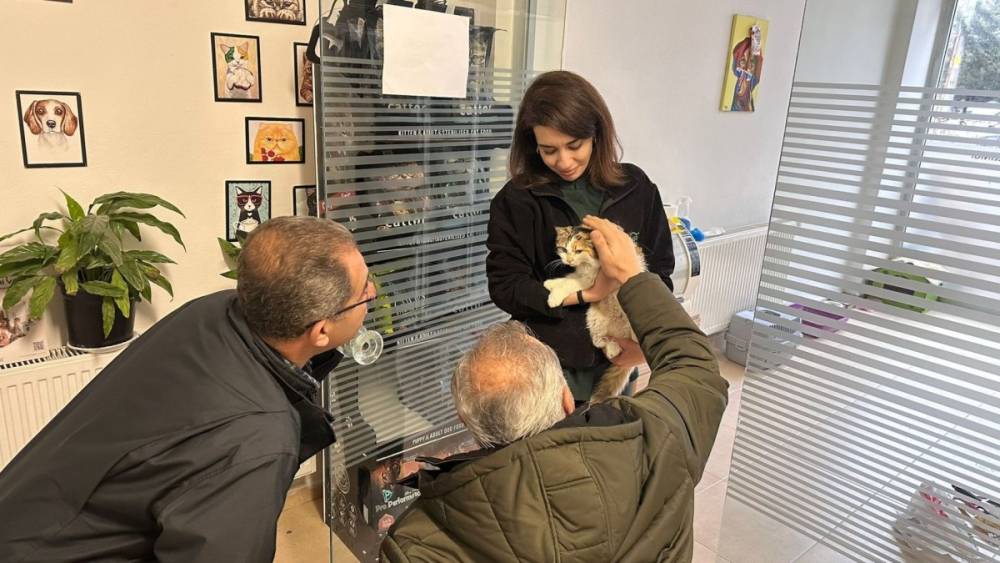 Adıyaman&rsquo;da kimliği belirsiz kişilerin şiddetine uğrayan kedi ameliyatla kurtarıldı 