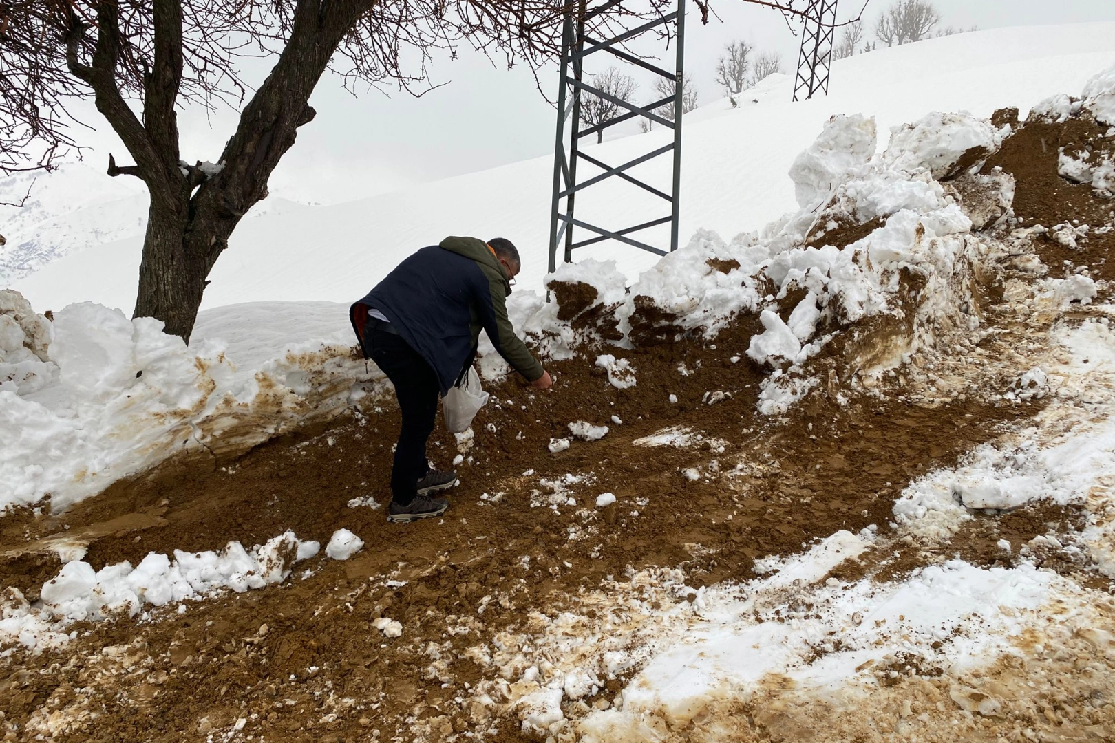 Batman Sason&rsquo;da yabani hayvanlar i&ccedil;in yemleme &ccedil;alışması