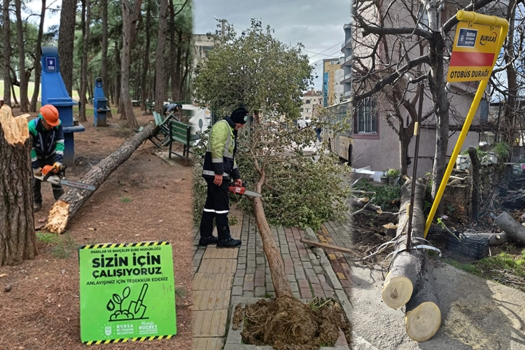 Lodos Bursa'yı vurdu! B&uuml;y&uuml;kşehir sahada