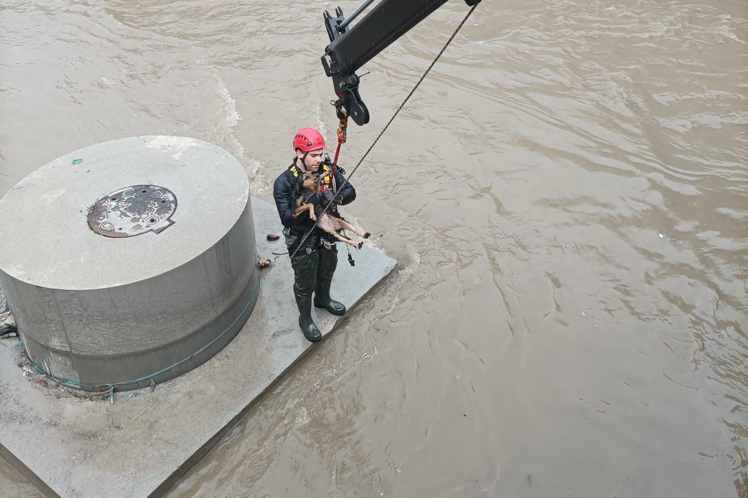 Derede k&ouml;pek kurtarma operasyonu