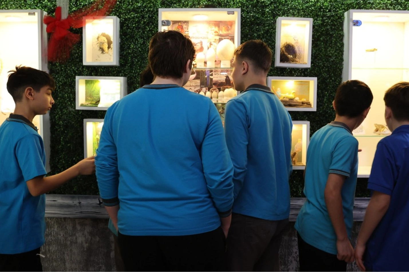 Samsun'da ortaokul &ouml;ğrencilerinden okulda Doğa M&uuml;zesi