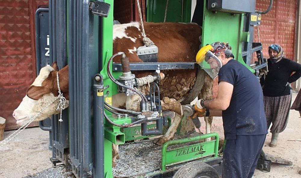 B&uuml;y&uuml;kşehir'den kırsalda &uuml;reticiye destek
