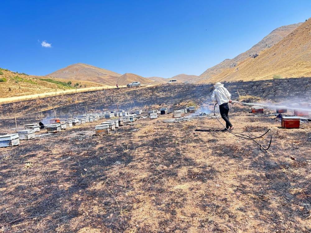 Yangında 150 arı kovanı k&uuml;le d&ouml;nd&uuml;  - Videolu Haber