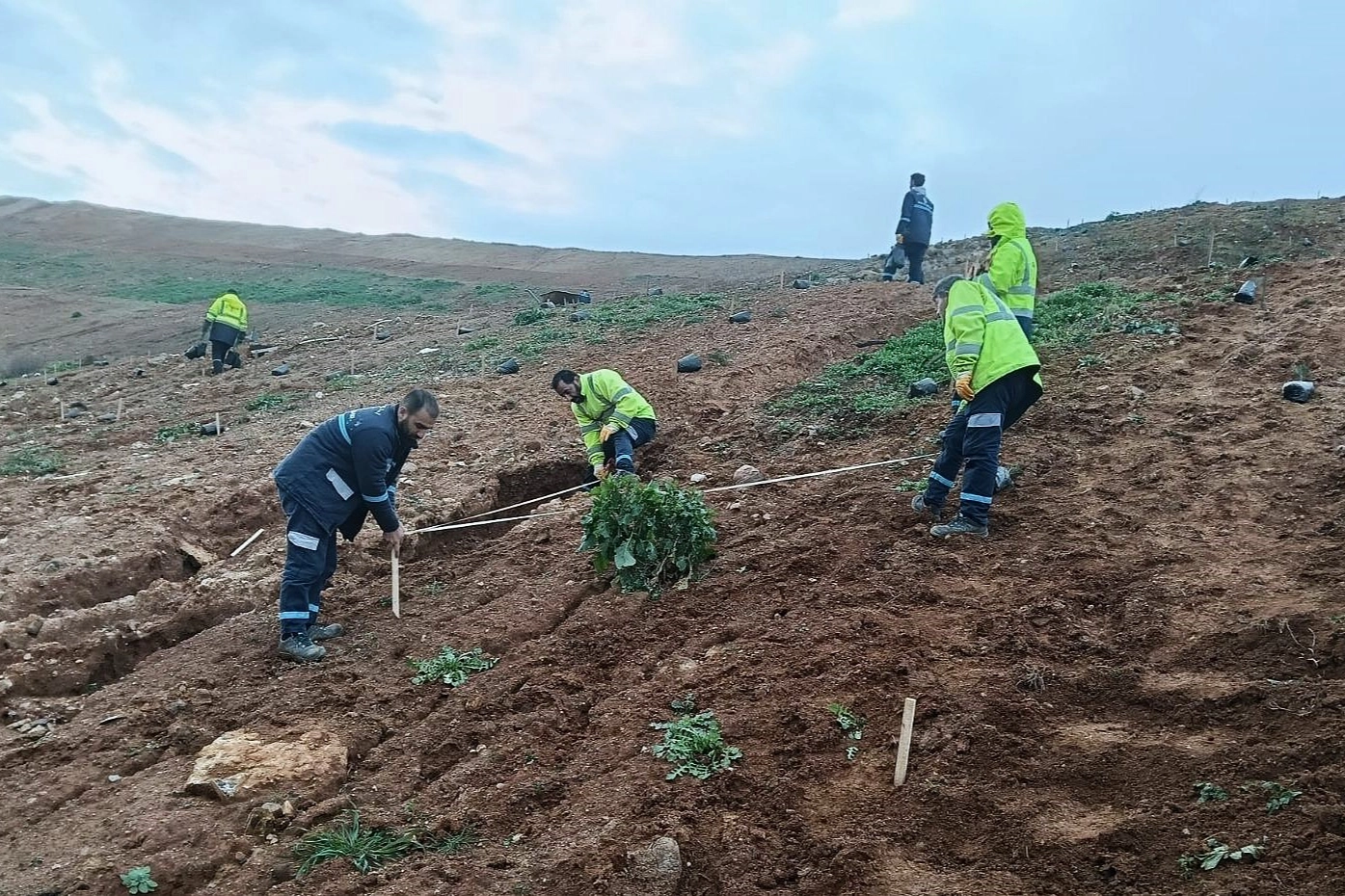 Kocaeli Gebze'de B&uuml;y&uuml;kşehir&rsquo;le yeşile dokunuş