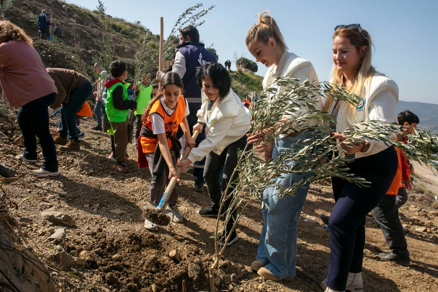 İzmir G&uuml;zelbah&ccedil;e&rsquo;de 1000 zeytin fidanı toprakla buluştu