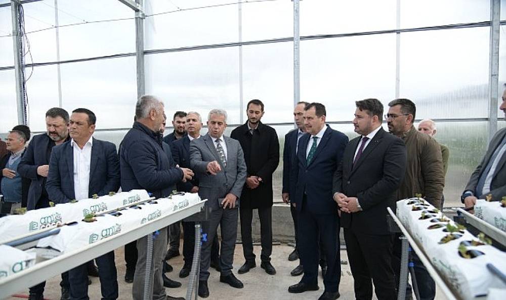 Soğucak Termal Serası'nda &Uuml;retim Başladı