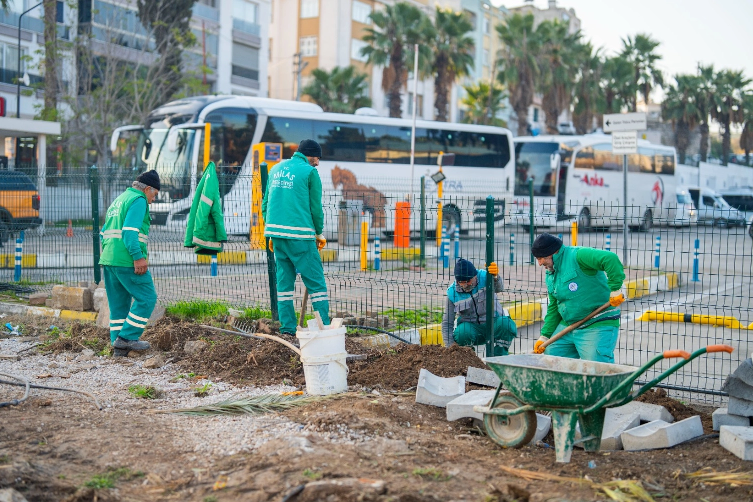 Muğla Milas yeşile b&uuml;r&uuml;n&uuml;yor