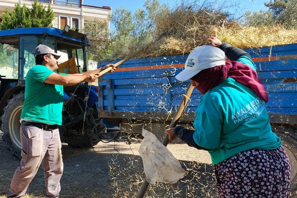 Balıkesir Ayvalık’ta güzellikler, emeğe değer veren insanlarla büyüyor