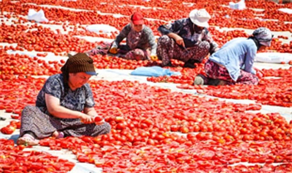 Torbalı'nın kuru domates emek&ccedil;ileri yalnız bırakılmadı