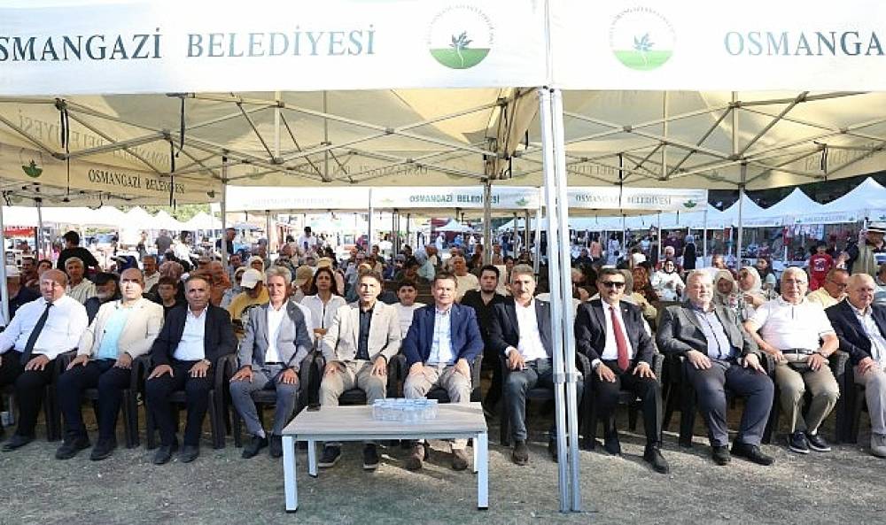 Osmangazi'nin Siyah İnciri Festivalle Buluştu