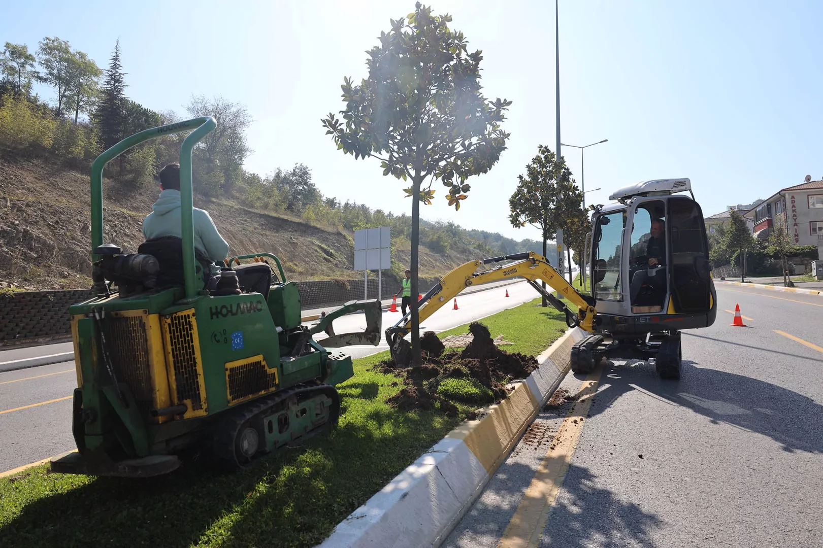 Sakarya'da ağa&ccedil;lar o kazı i&ccedil;in titizlikle taşınıyor