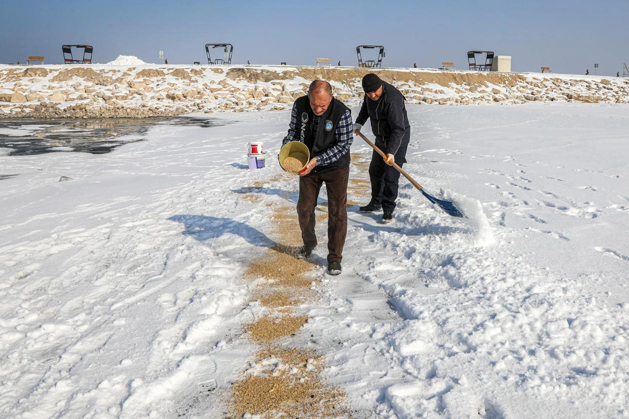 Van'da kuşlar i&ccedil;in doğaya yem bırakıldı