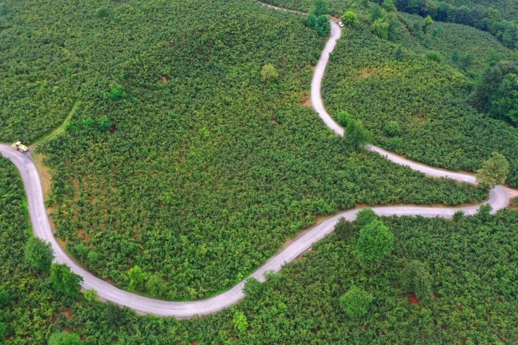 Ordu B&uuml;y&uuml;kşehir&rsquo;den Ulubey&rsquo;e 7 kilometrelik asfalt yatırımı