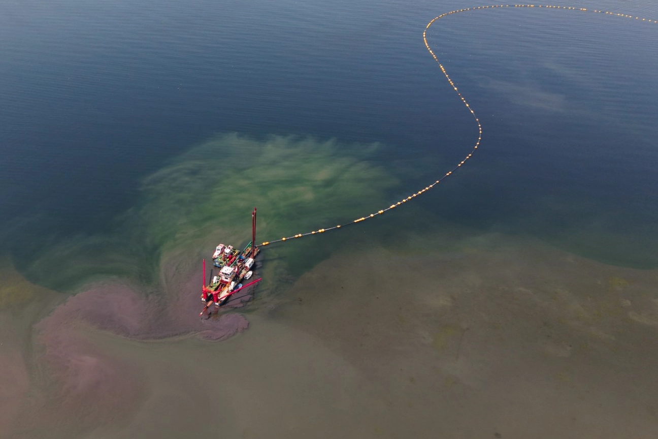 Kocaeli&rsquo;nin &ccedil;evre projesi deniz canlılarını canlandırdı