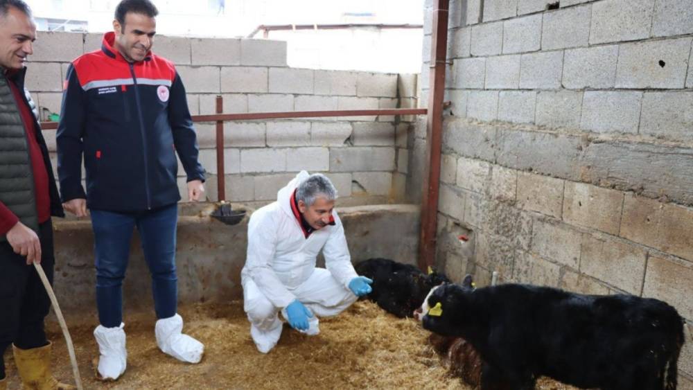 Adıyaman&rsquo;da &lsquo;Kırsalda Bereket, Hayvancılığa Destek Projesi&rsquo; ilk sonu&ccedil;larını verdi 