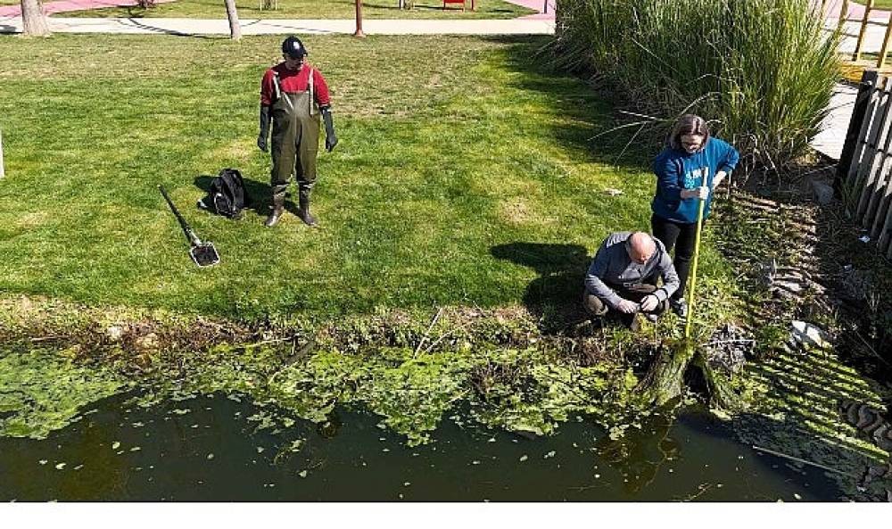 İzmit Millet Bah&ccedil;esi'nde su g&ouml;letine bilimsel &ccedil;alışma