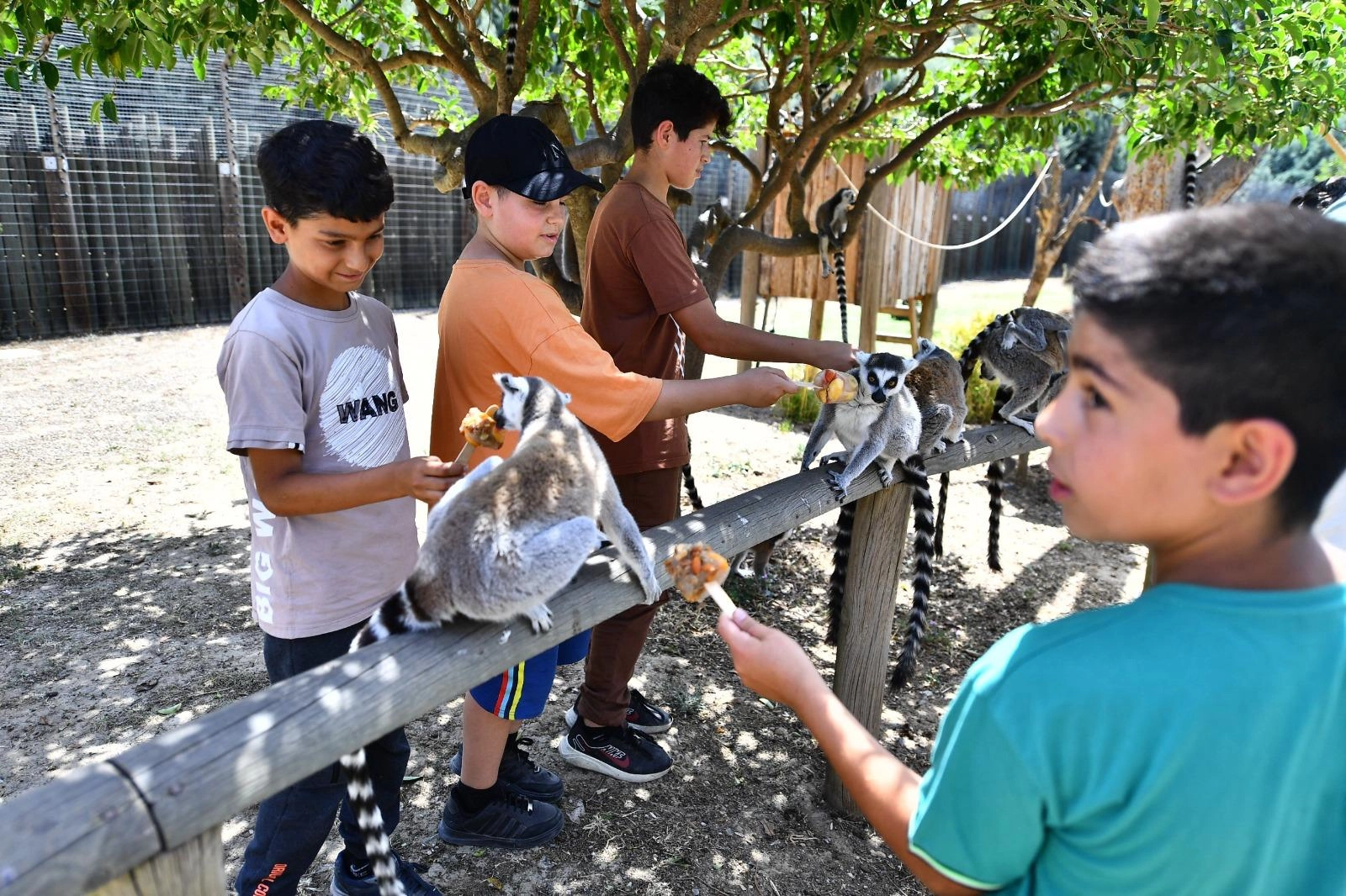 İzmir'de Doğal Yaşam Parkı &ouml;ğrencilere &uuml;cretsiz olacak