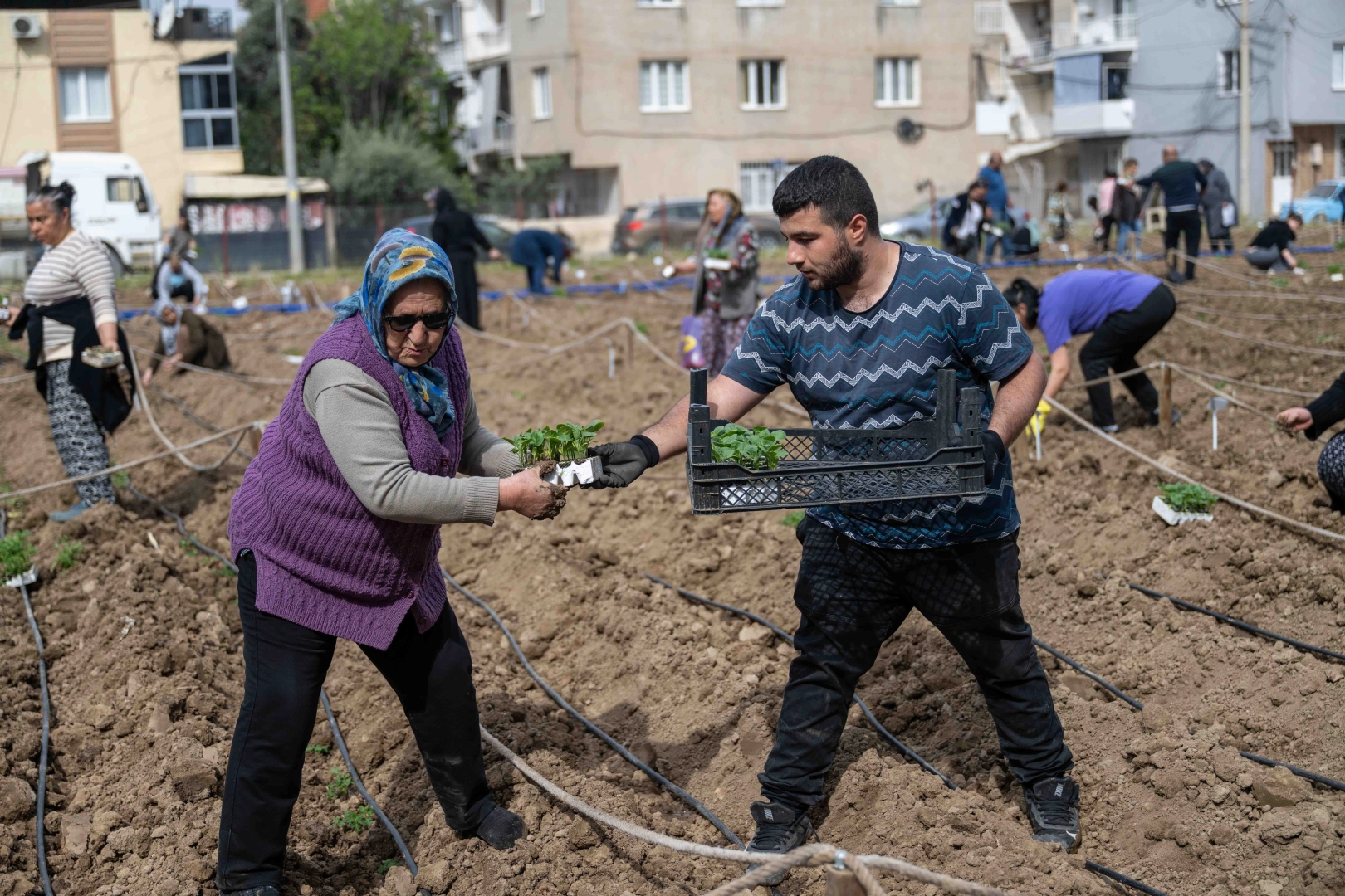 Bornova&rsquo;da umut toprakla b&uuml;y&uuml;yor
