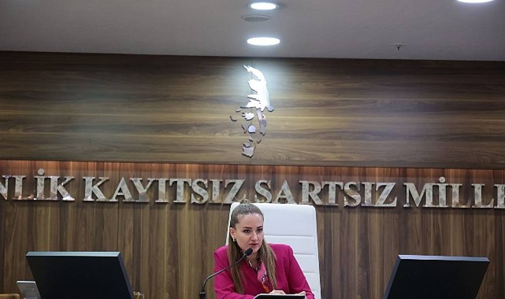  Başkan Vekili &Ouml;zdemir'den Altıntaş a&ccedil;ıklaması