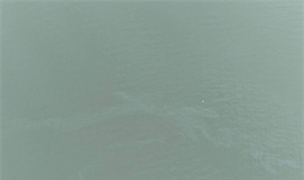 İzmir K&ouml;rfezi'nde kirlilik alarmı: Aynı tehdit 11. kez g&ouml;r&uuml;ld&uuml;