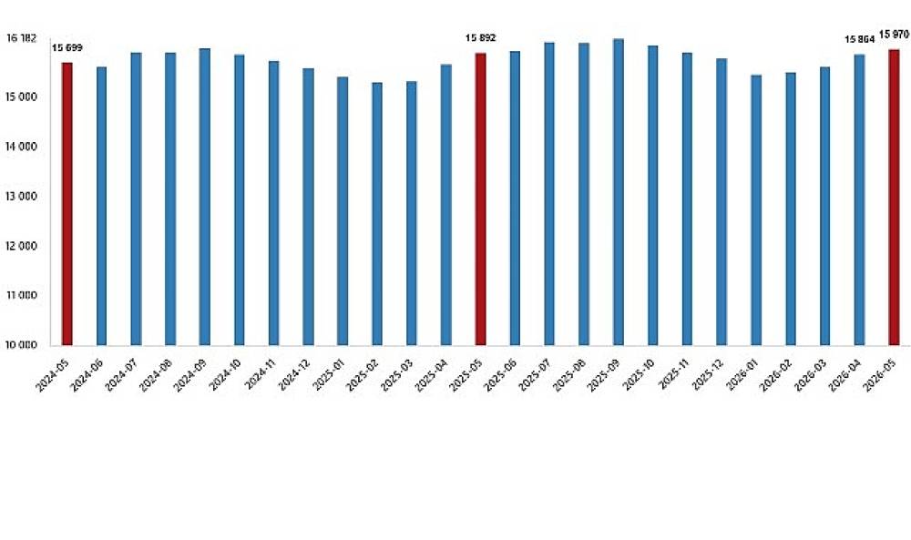 &Uuml;cretli &Ccedil;alışan İstatistikleri, Mayıs 2026