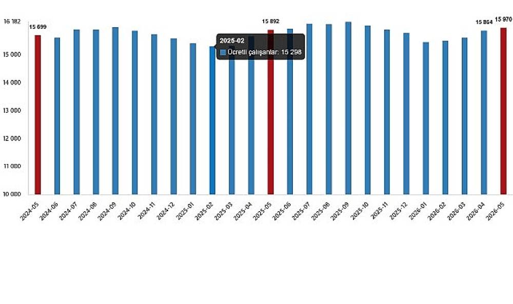 &Uuml;cretli &Ccedil;alışan İstatistikleri, Mayıs 2026