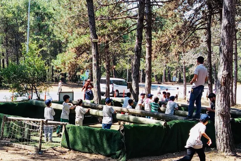 Devlet korumasında 2.240 &ccedil;ocuk yararlandı