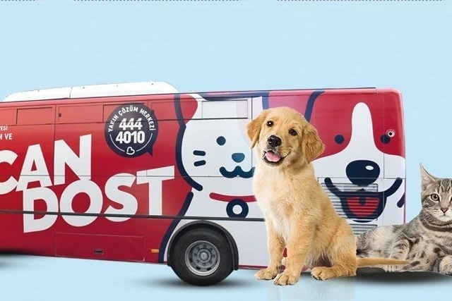 Balıkesir&rsquo;de patili canlara mobil sağlık hizmeti