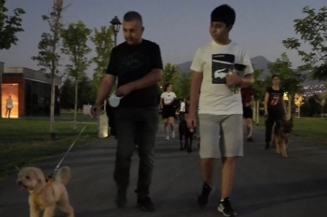 Kayseri Büyükşehir'in köpek parkuruna tam not