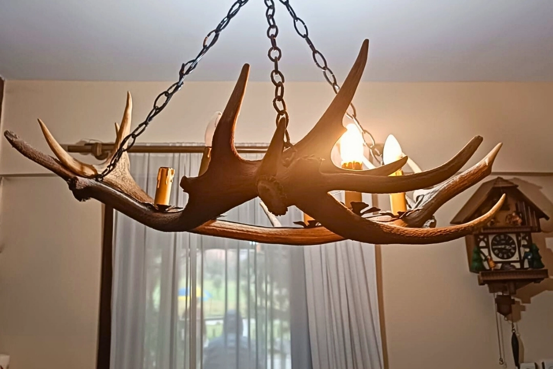 Tekirdağ ka&ccedil;ak tahnit ve trofe operasyonu... 40 par&ccedil;a ele ge&ccedil;irildi