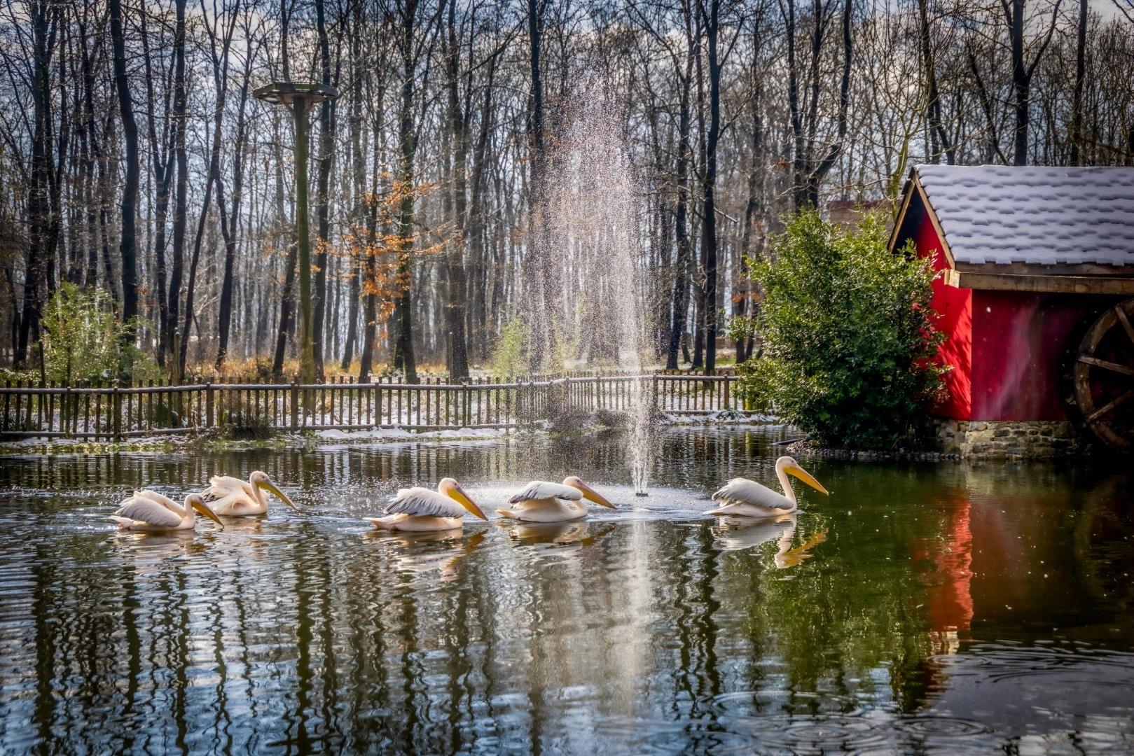 Kocaeli'de Ormanya ve Kuzuyayla ziyaret&ccedil;ilere hazır