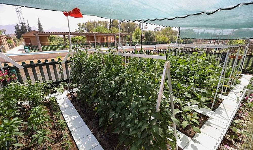 En Güzel Tasarım ve Uygulama Yarışması'nda ödüller sahiplerini buldu