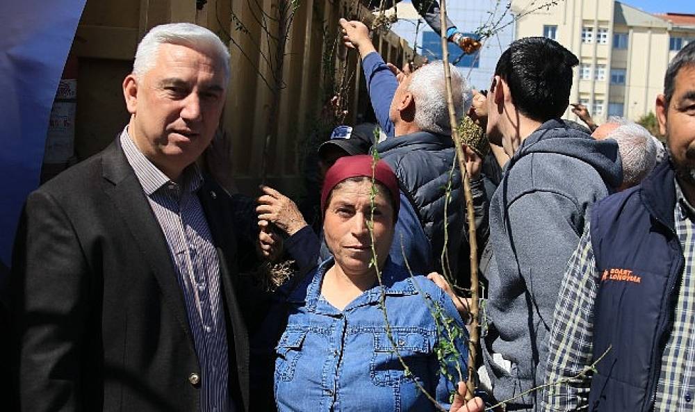 Bergama'dan &Uuml;retime B&uuml;y&uuml;k Destek: Ahlat Ağa&ccedil;ları Aşılandı, Binlerce Fidan Dağıtıldı