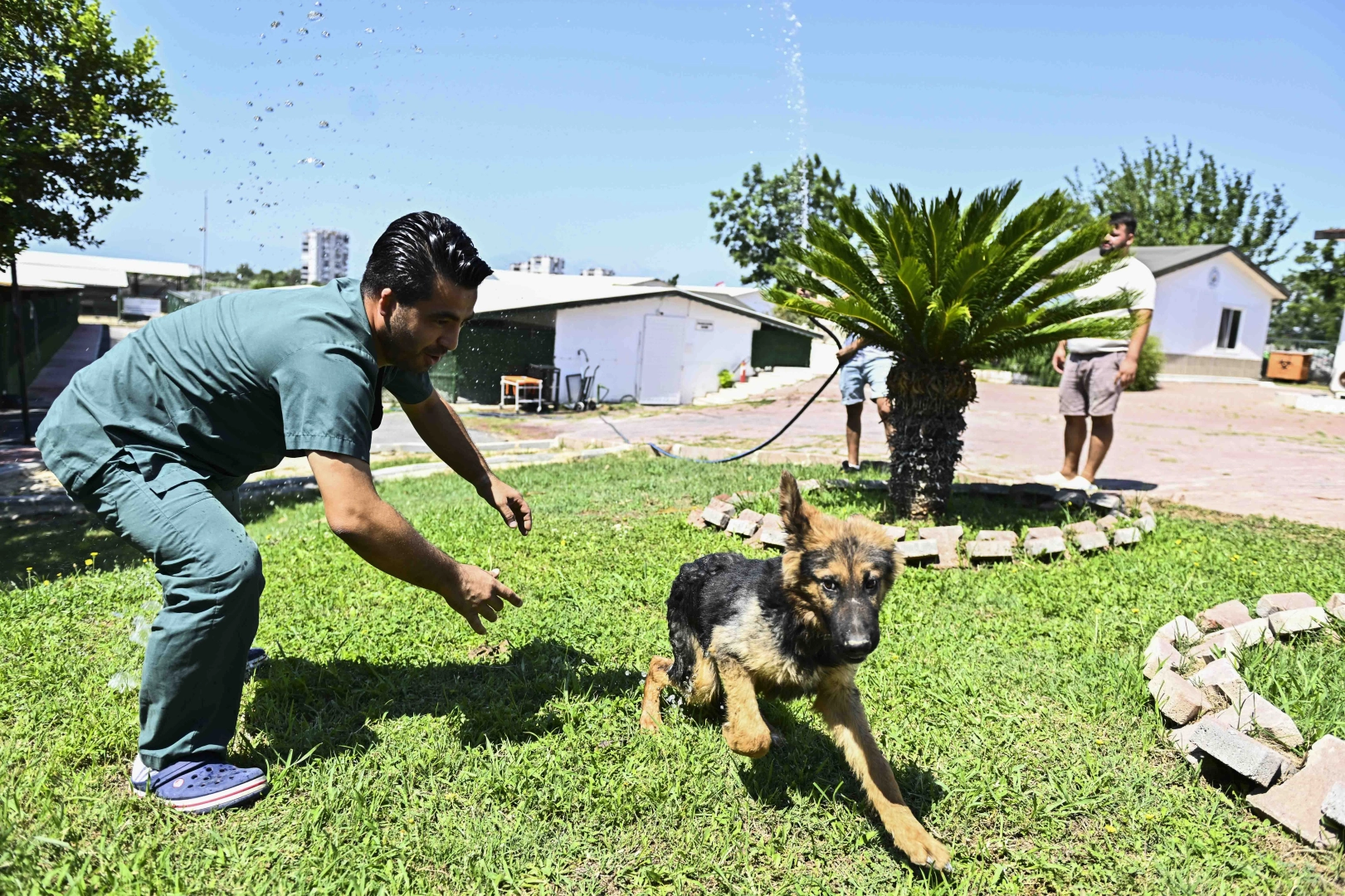 Antalya Muratpaşa&rsquo;dan patili dostlara serin dokunuş