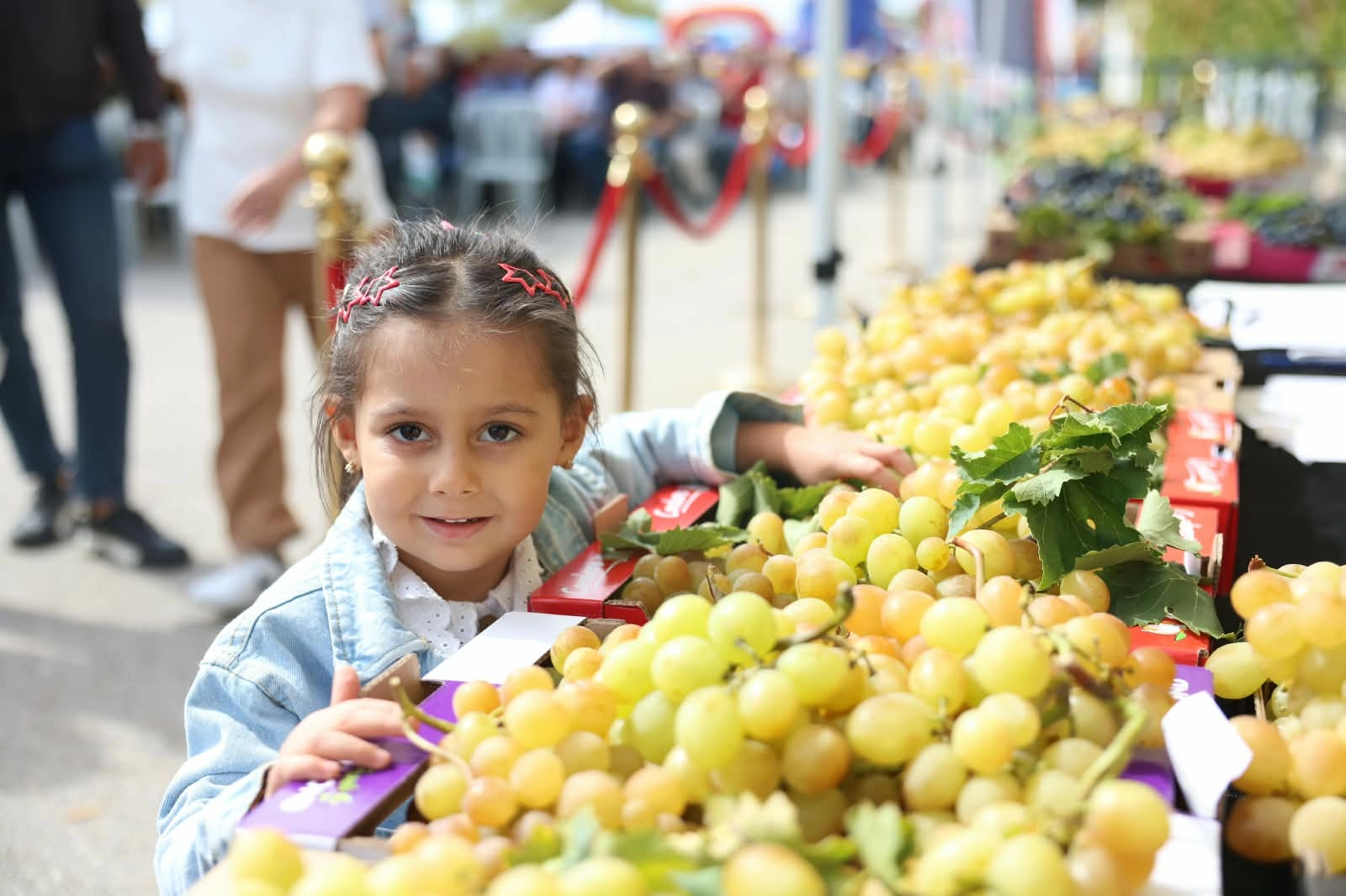 Bursa Osmangazi&rsquo;de &uuml;z&uuml;m bereketi festivalle ta&ccedil;landı