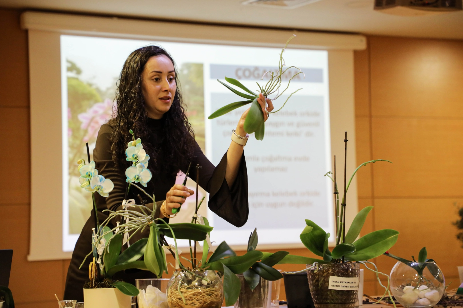 Antalya'da vatandaşlara orkide bakımı eğitimi