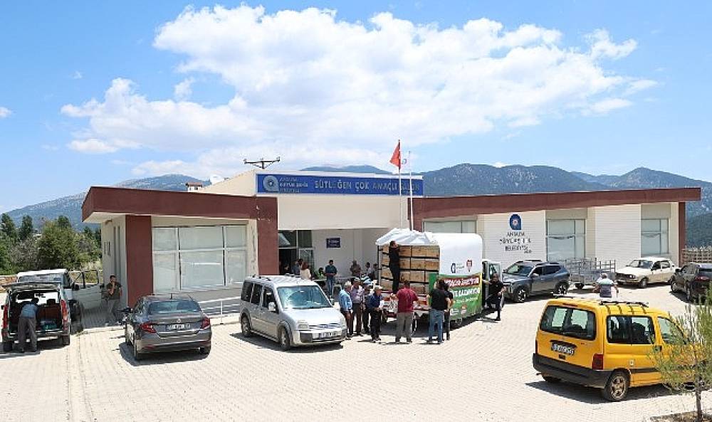 B&uuml;y&uuml;kşehir'den Antalya'nın d&ouml;rt bir yanına arı kovanı desteği