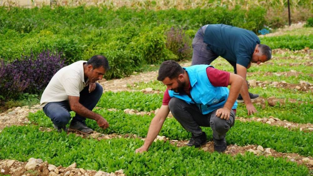 Adıyaman&rsquo;da belediye ve kadın kooperatifinin &uuml;retim merkezinde sonbahar mesaisi 
